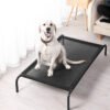 solid pet bed bouncers